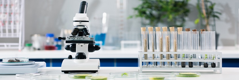 極限承載測(cè)試