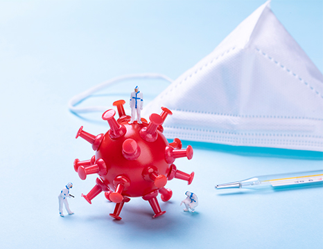 二甲酸脂檢測(cè)