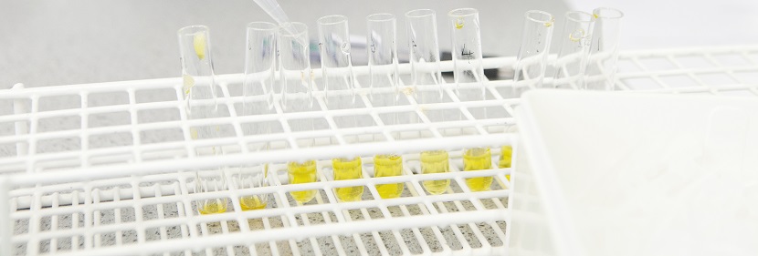 氰基硼氫化鈉檢測