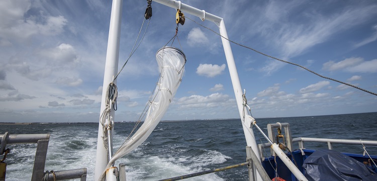 鋰離子負(fù)極材料檢測(cè)