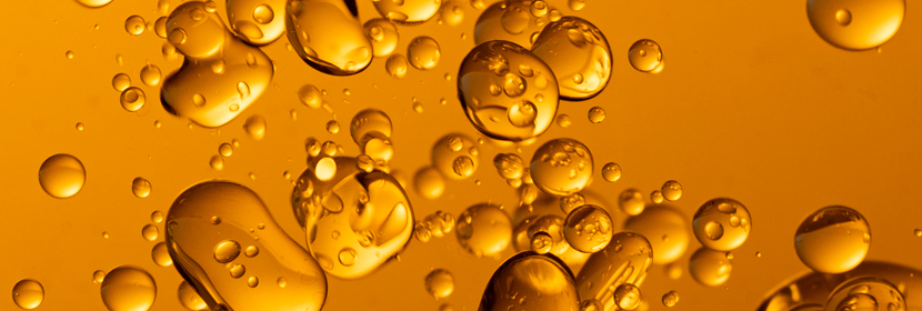 脂類(lèi)測(cè)定