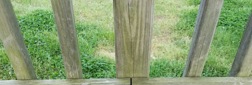 醫(yī)用有機(jī)硅材料測(cè)試