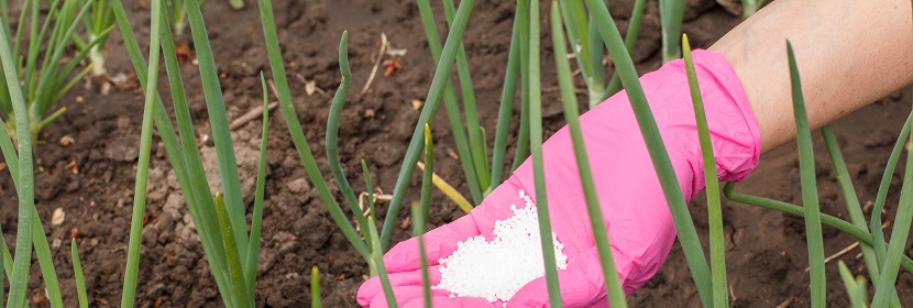 膏狀化肥防結(jié)塊劑檢測(cè)