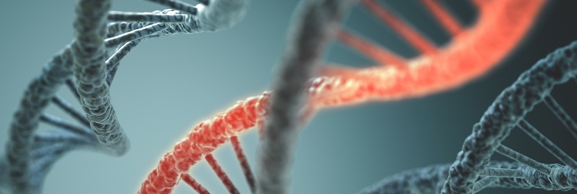 基因突變?cè)囼?yàn)