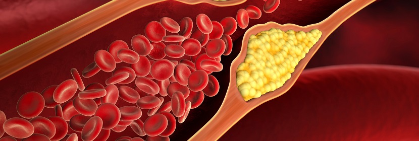 化妝品體內(nèi)哺乳動物細(xì)胞微核試驗(yàn)